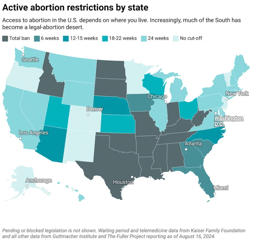 ~ PUREGNS ~ Democrats views and policies on Abortion!