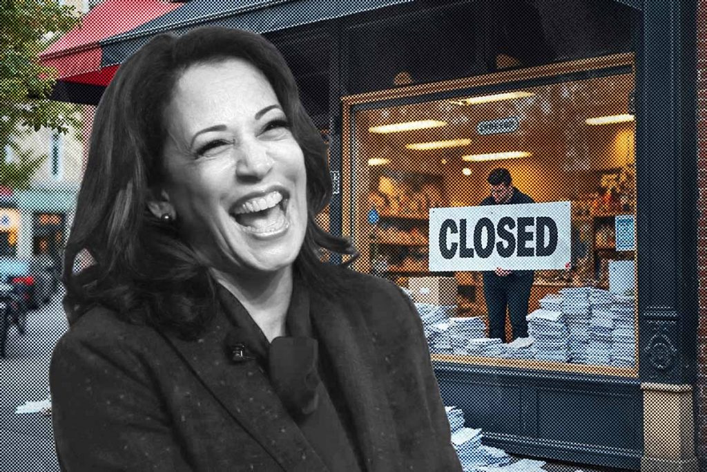 ~ AMAC ~ Kamala Harris Would Be A Disaster for Small Businesses